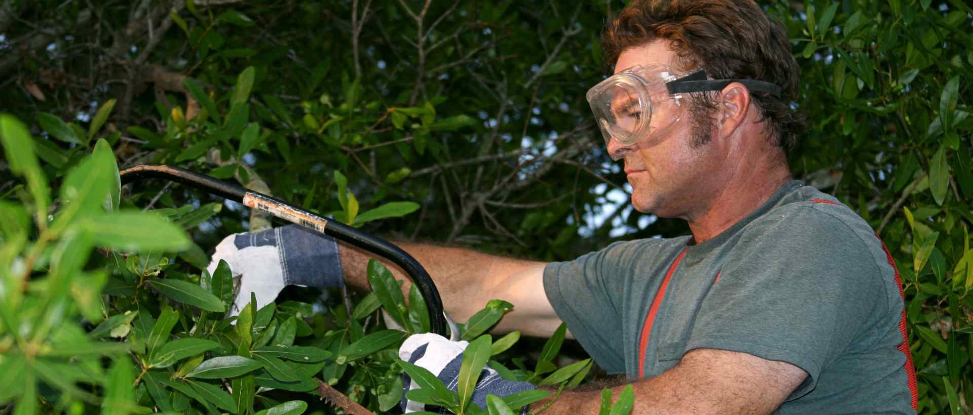 garden clearance E7